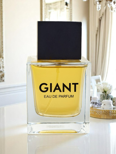Navdihnjen eau de parfum za moške Giant Silver