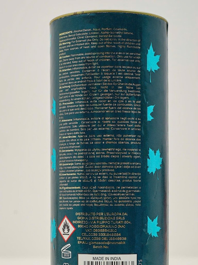 Navdihnjen eau de parfum za moške GROOM