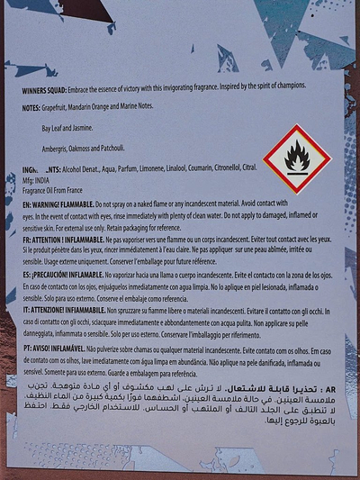 Navdihnjen eau de parfum za moške Winners Squad