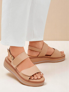 Jasnobrązowy || Brązowy